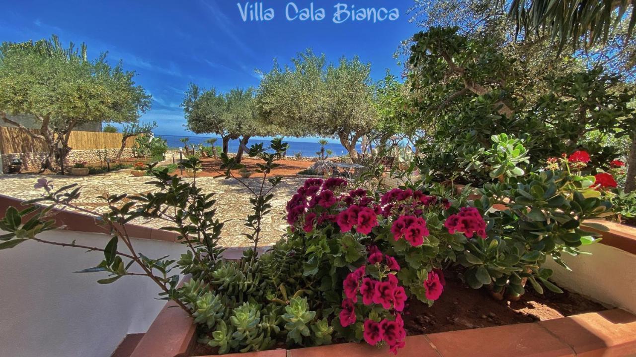Villa Cala Bianca Castellammare del Golfo Exterior foto